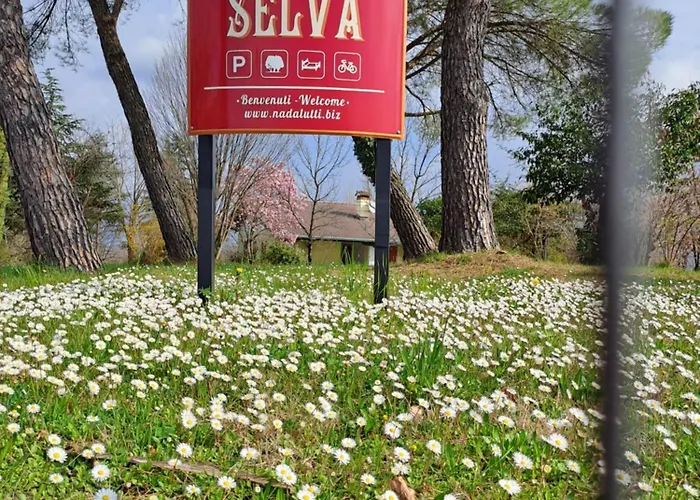 Casa Vacanze Selva