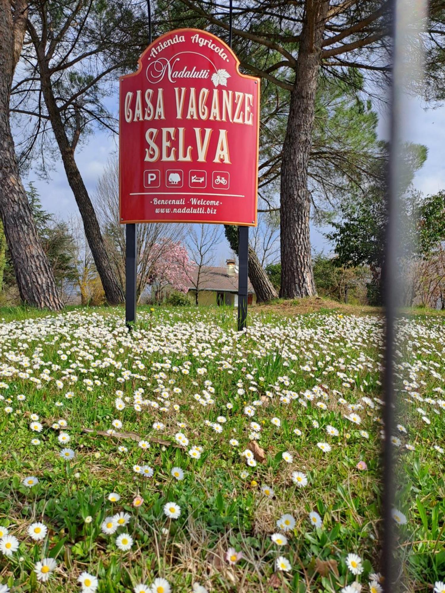 Casa Vacanze Selva Holiday home Premariacco