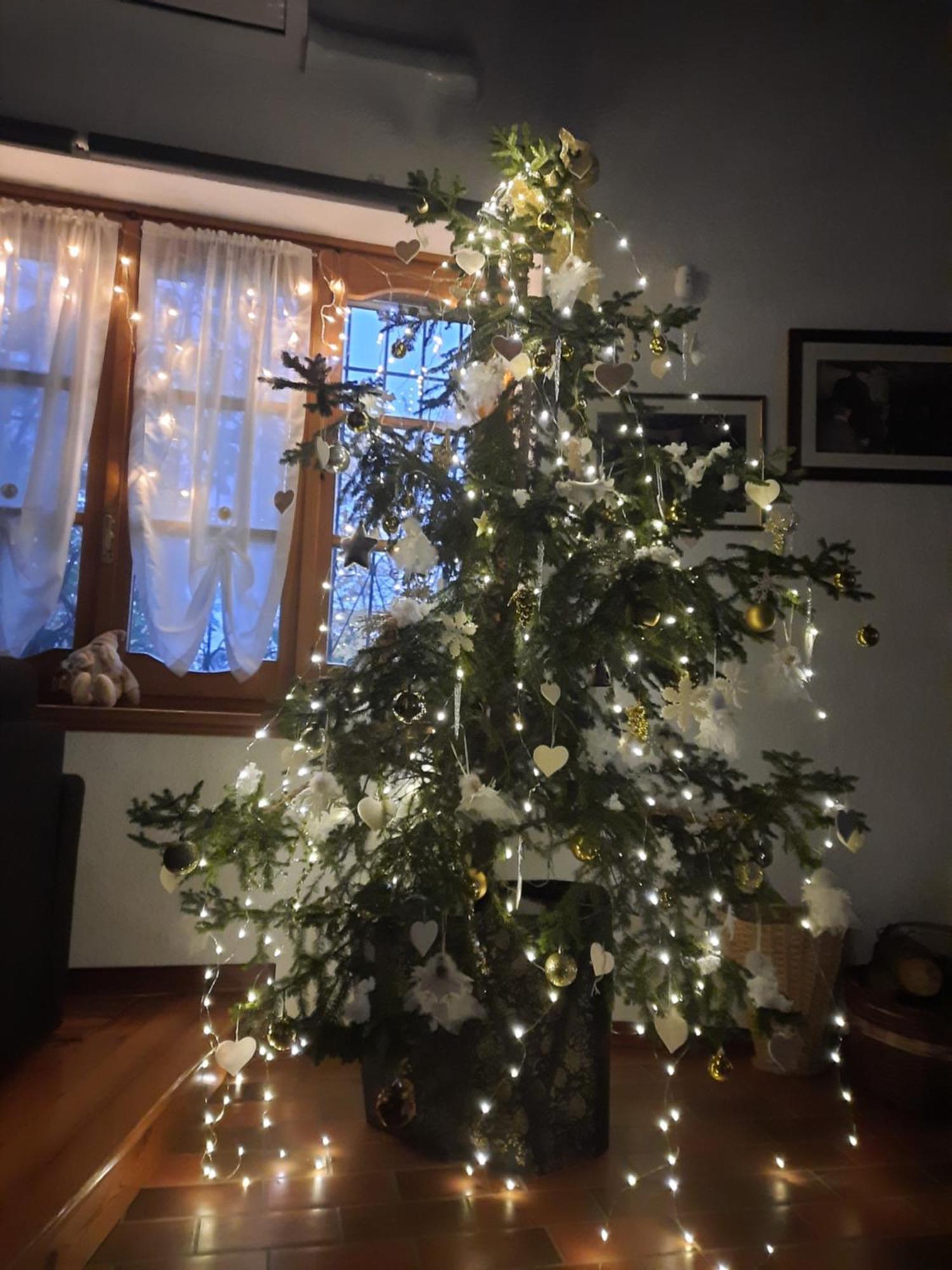 Holiday home Casa Vacanze Selva