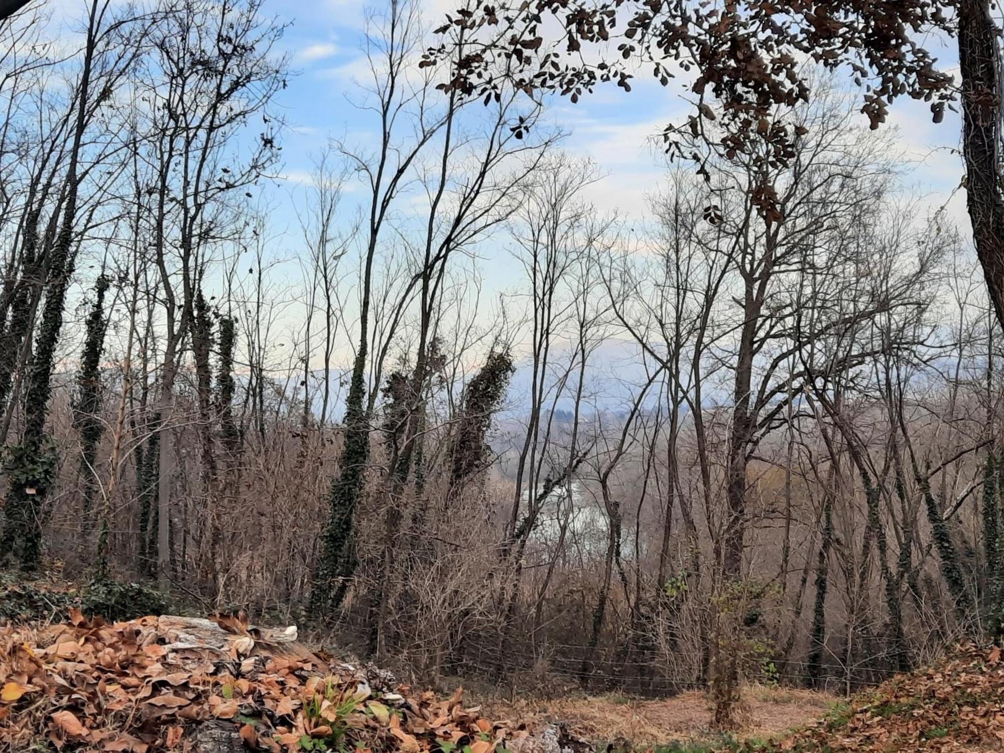Casa Vacanze Selva * Premariacco