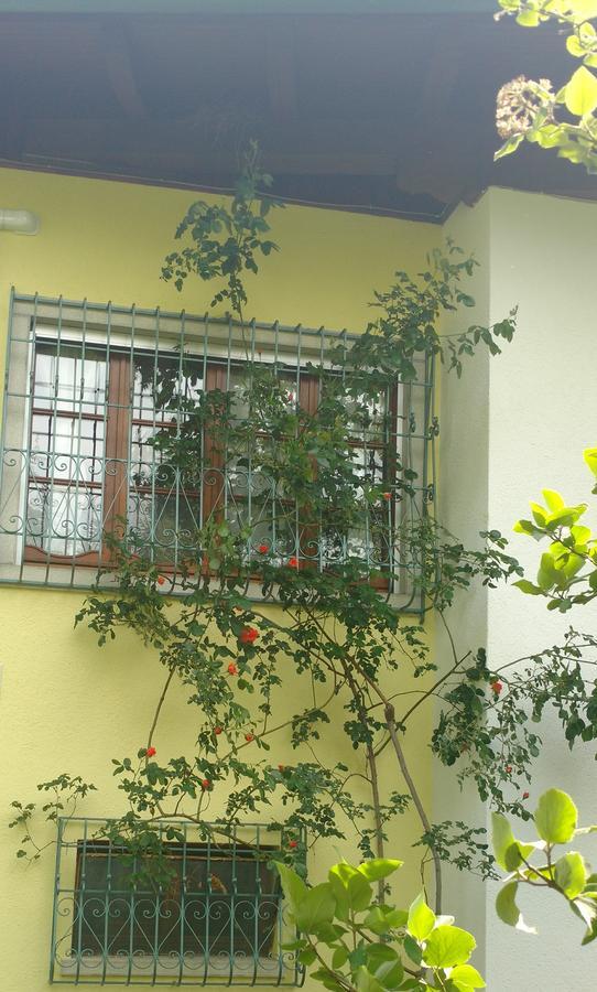 Casa Vacanze Selva * Premariacco