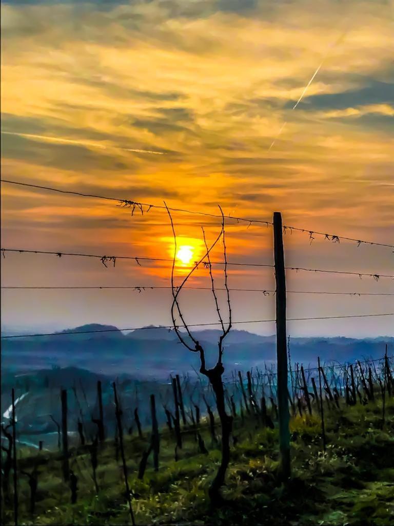 Casa Vacanze Selva Premariacco