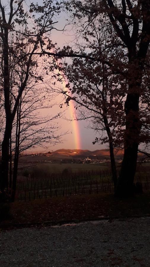 Casa Vacanze Selva *